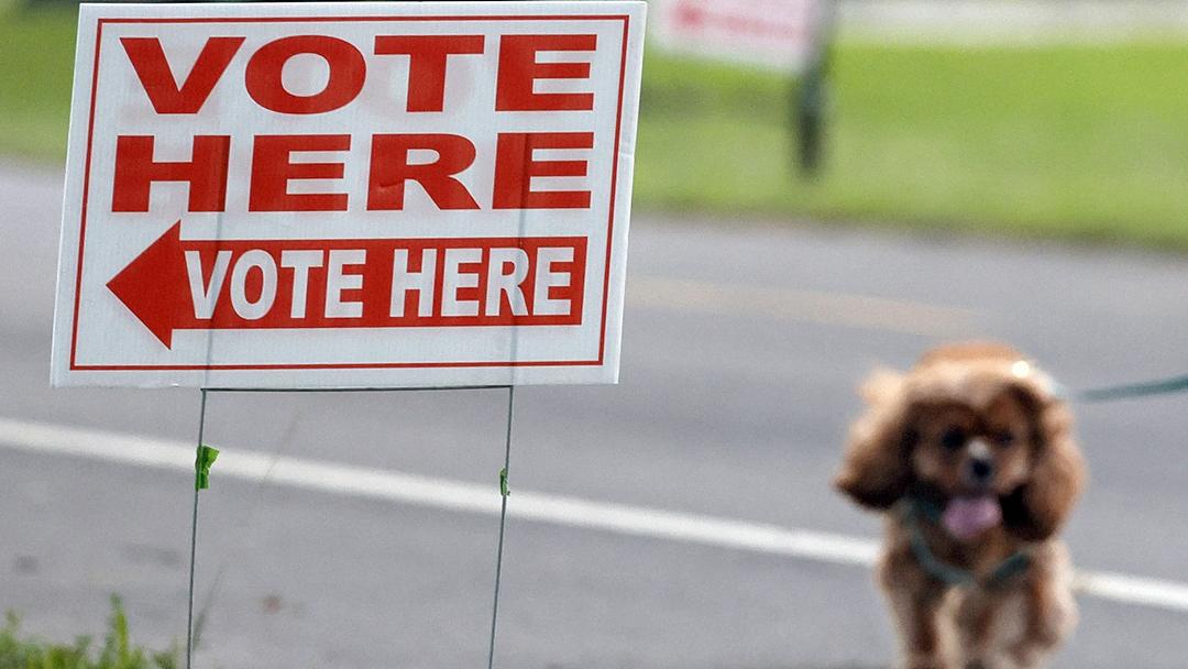 Democrats Flip Sarasota School Board Majority