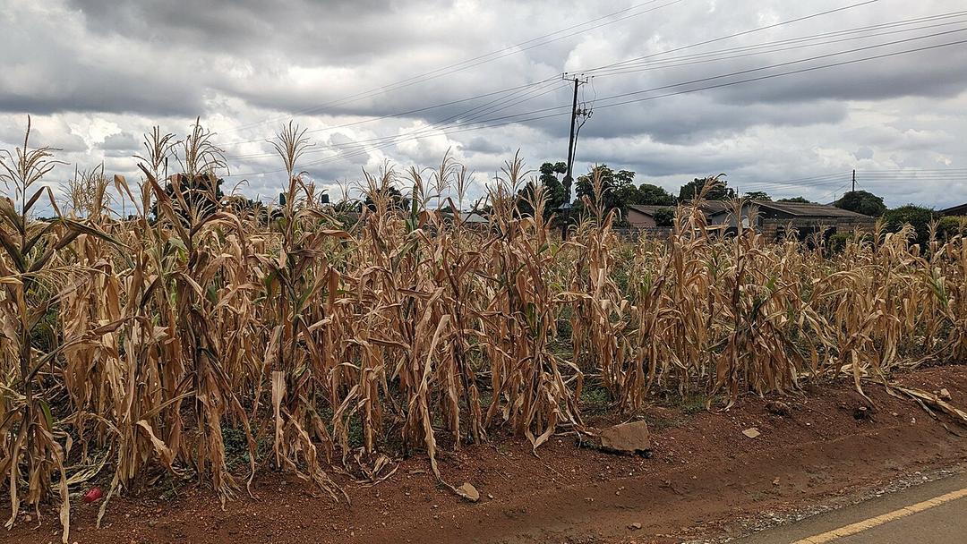 Report: 68M People Suffering From Southern Africa Drought