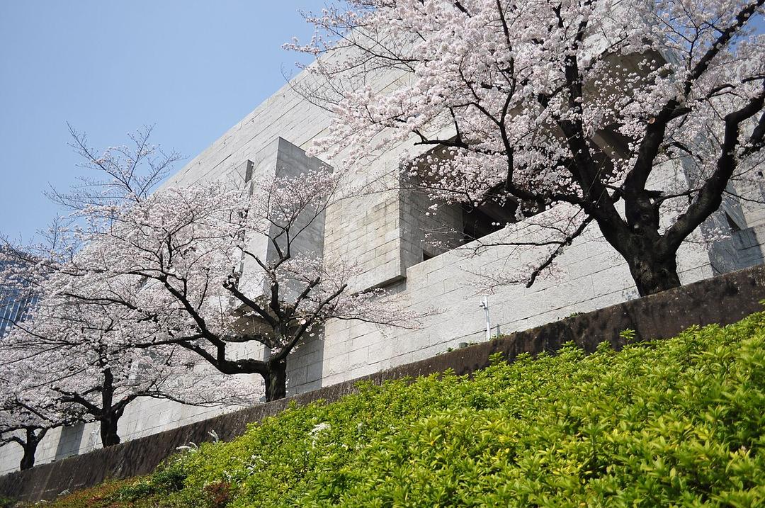 Japan: Top Court Finds Sterilization Rule for Gender Change Unconstitutional