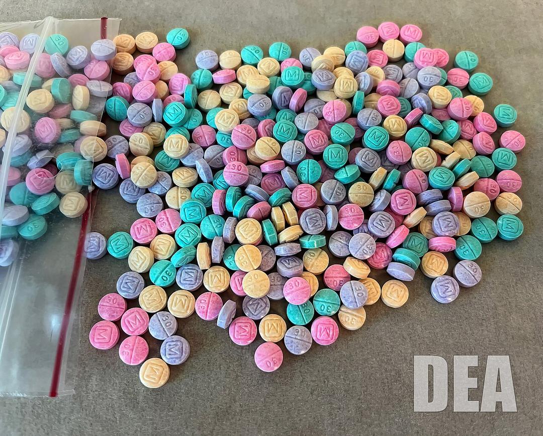 Feds Make Historic Drug Bust in Mass.