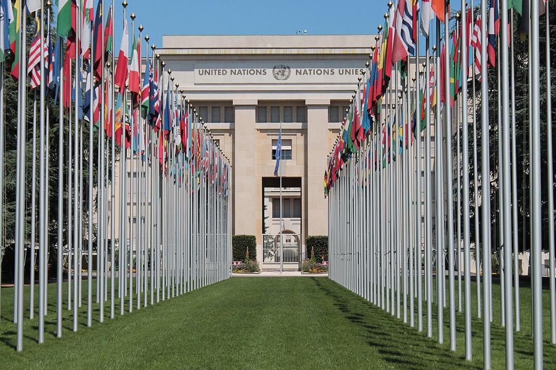UN Adopts First-Ever High Seas Treaty