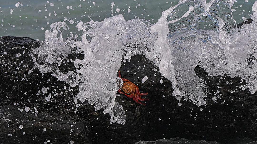Study: El Niño Events in Recent Decades Are The Strongest in 1,000 Years