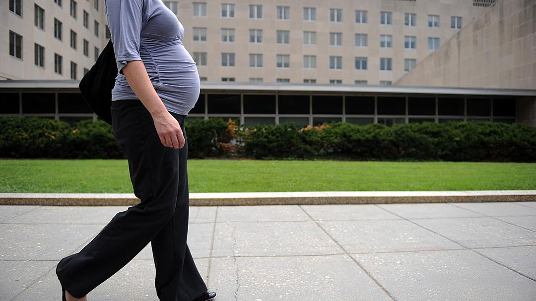 Study Links 'Pregnancy Brain' to Estrogen's Memory Circuit