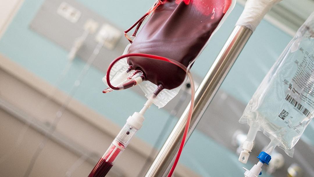 Jehovah's Witnesses Ease Ban on Blood Transfusion Components