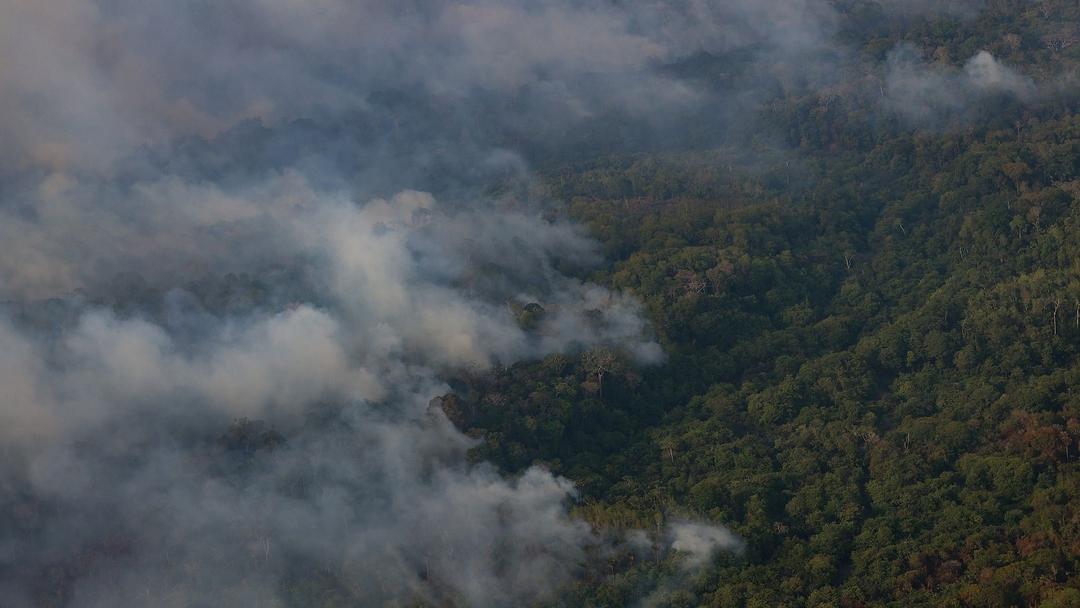 Brazil's Amazon Deforestation Hits Lowest Level on Record