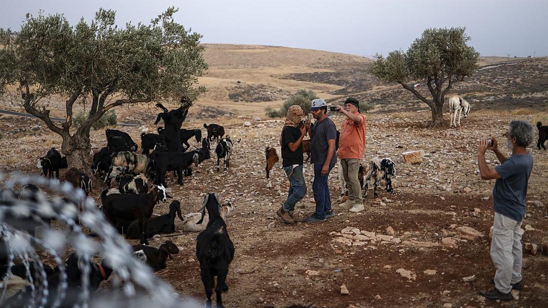 Masked Israeli Settlers Attack EU Diplomats in West Bank