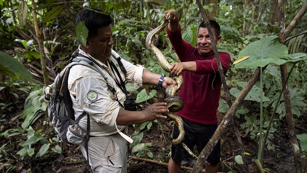 World-First Basic Income Trial Helps Protect Amazon Rainforest