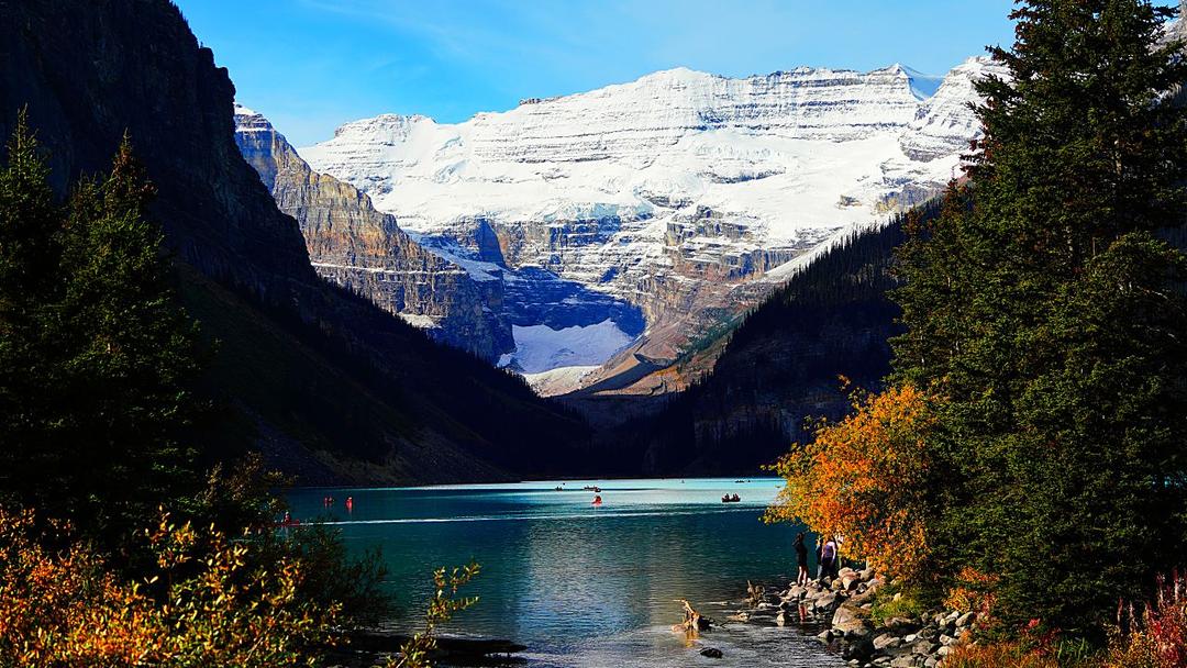 Parks Canada Cuts Banff's 55-Year Rescue Dog Program