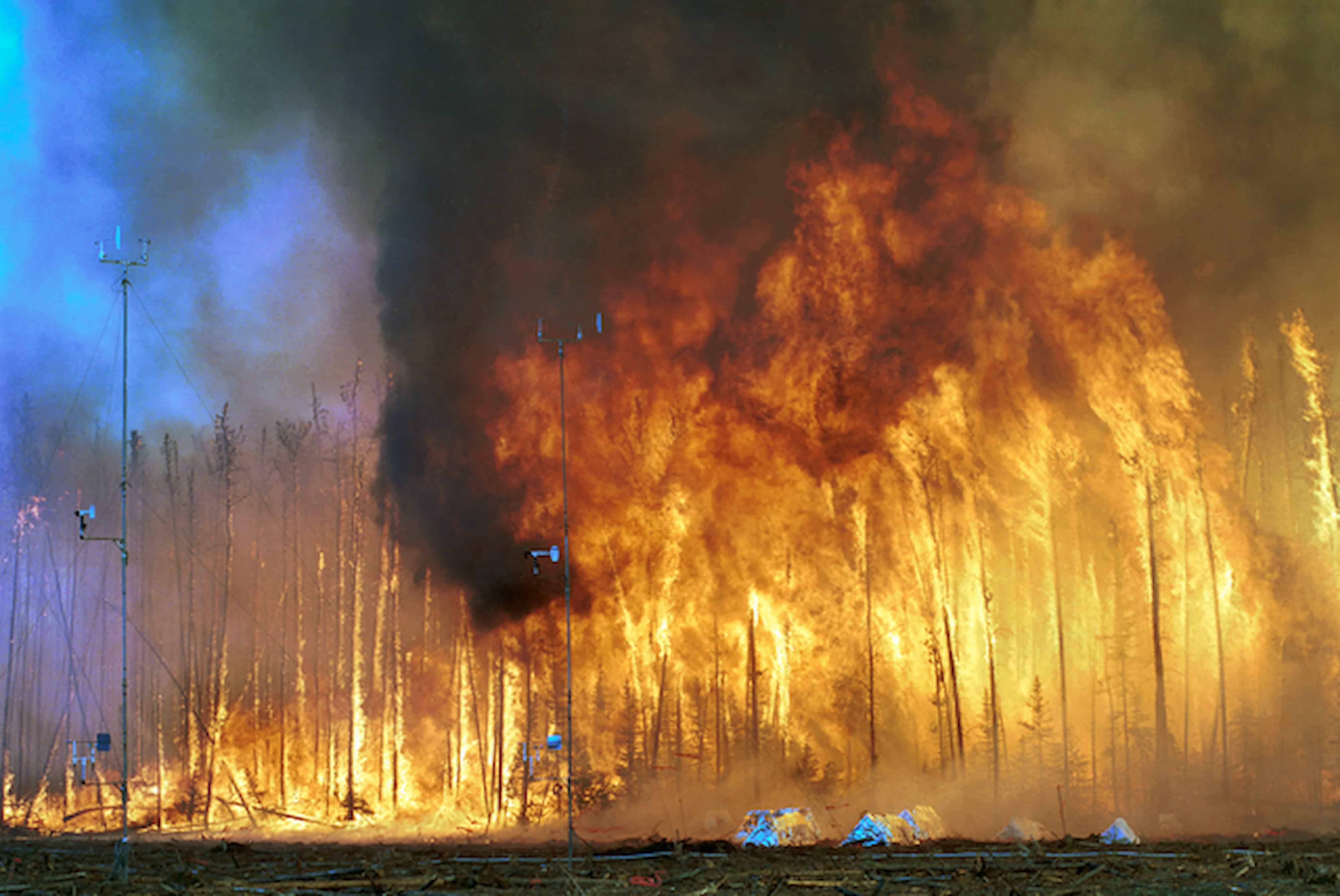Canada: 'Unprecedented' Fires Destroy 6.7M Acres of Forest